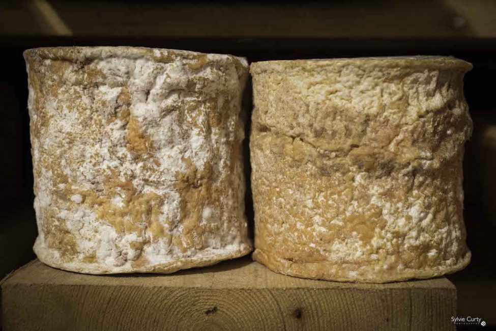 cave affinage fromages l'épicurium la Rochelle 1 (14)