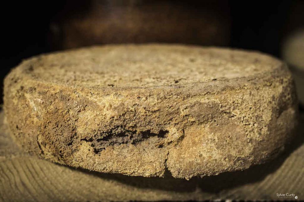 cave affinage fromages l'épicurium la Rochelle 1 (20)
