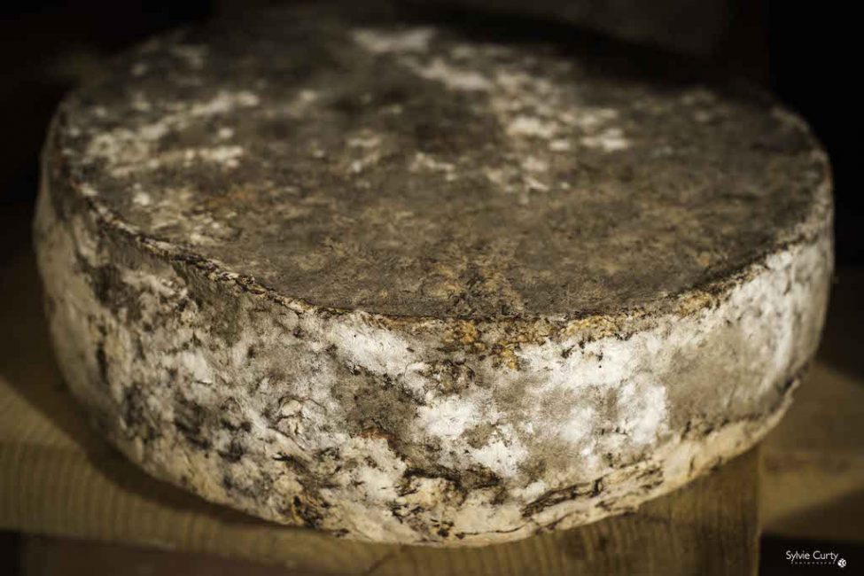 cave affinage fromages l'épicurium la Rochelle 1 (28)