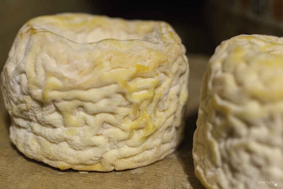 cave affinage fromages l'épicurium la Rochelle 1 (31)