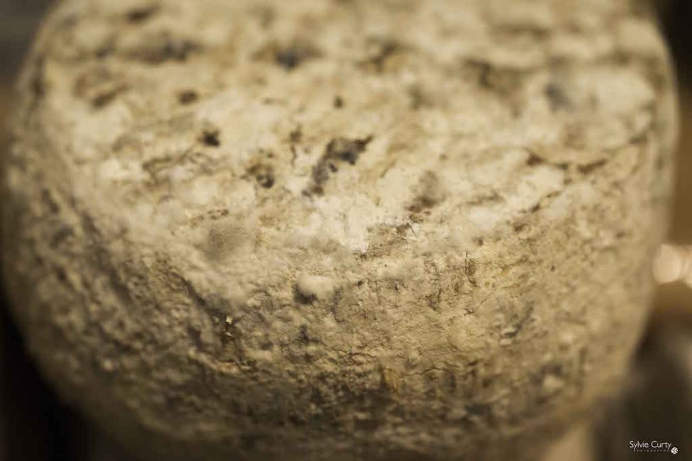 cave affinage fromages l'épicurium la Rochelle 1 (44)