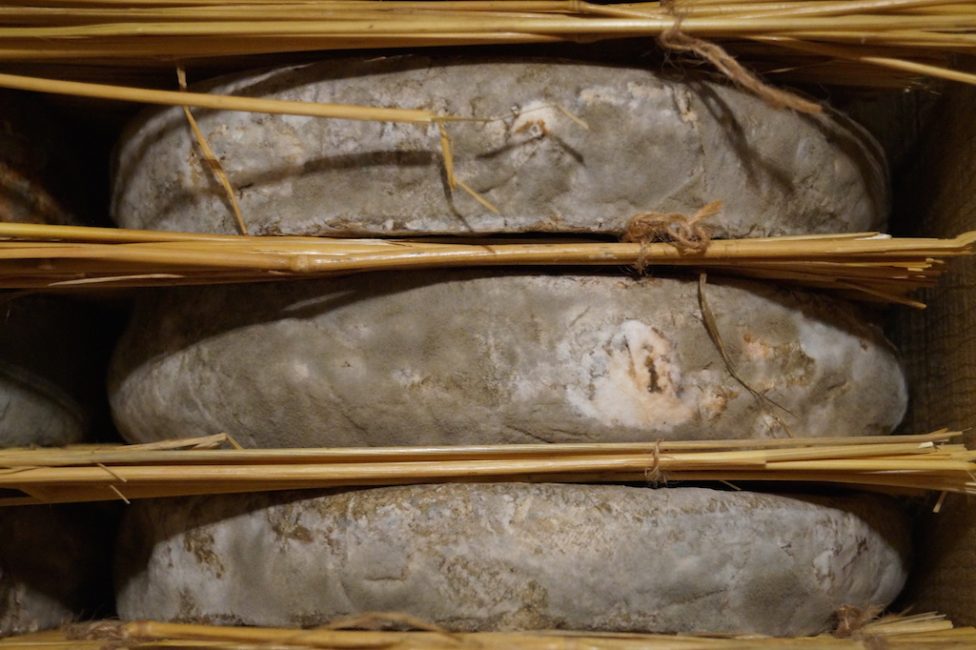 cave affinage fromages l'épicurium la Rochelle 1 (53)