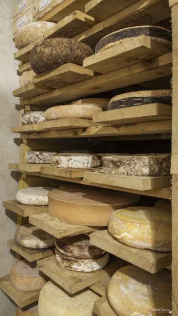 cave affinage fromages l'épicurium la Rochelle 1 (8)